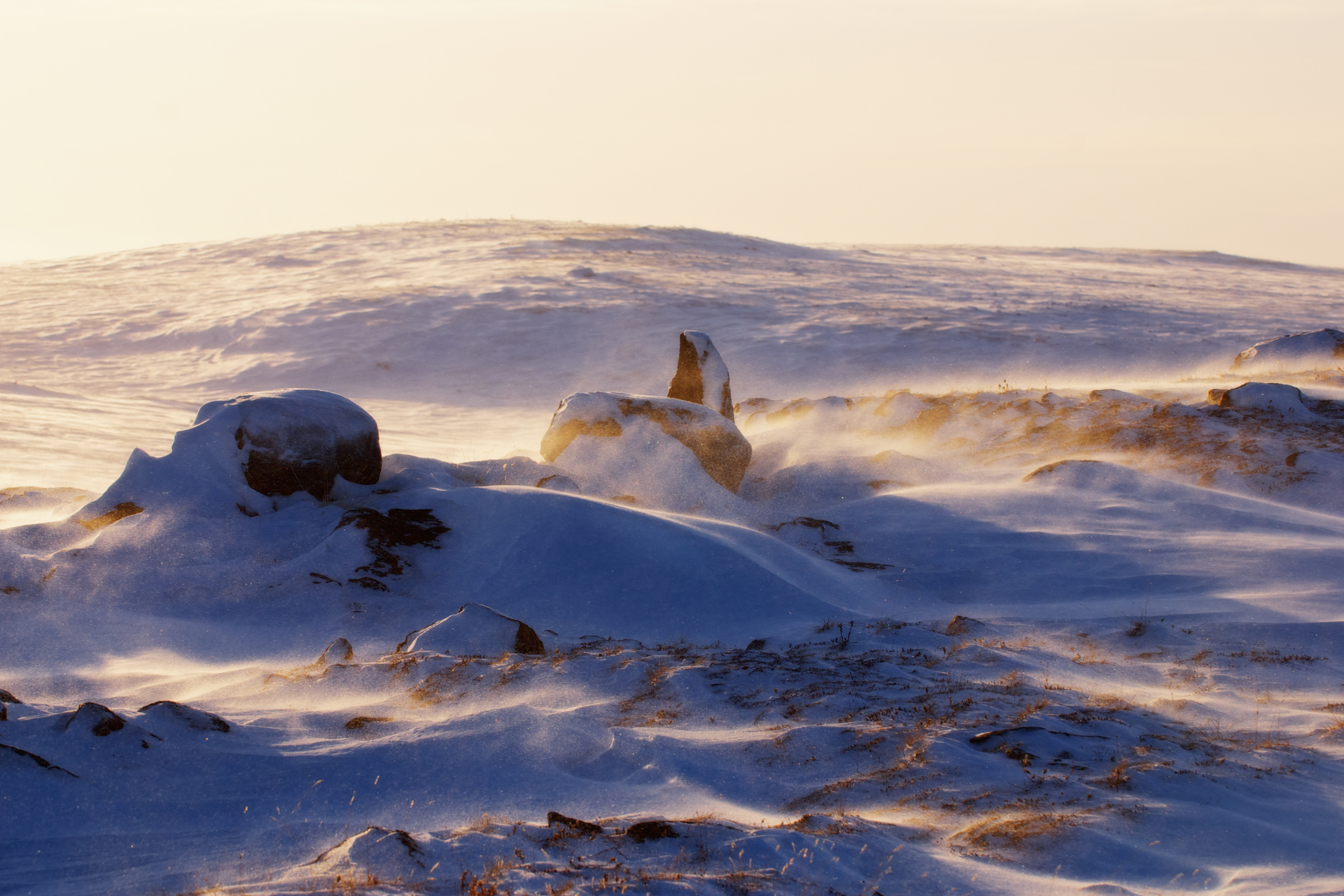 20 lancaster sound, tallurutiup imanga national park, nunavut.webp